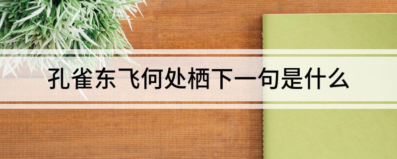 孔雀东飞何处栖下一句是什么