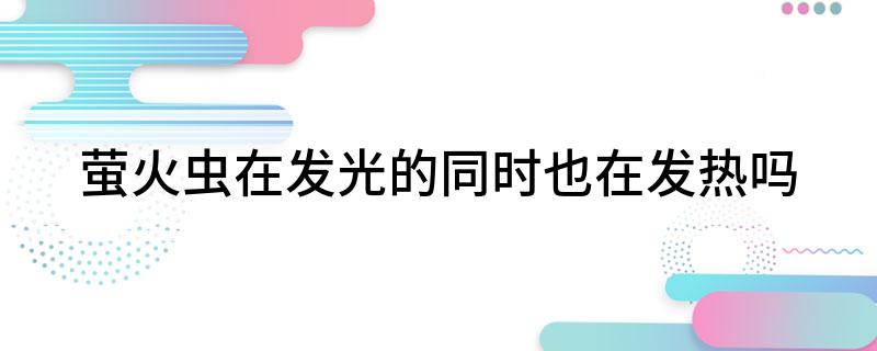 萤火虫在发光的同时也在发热吗