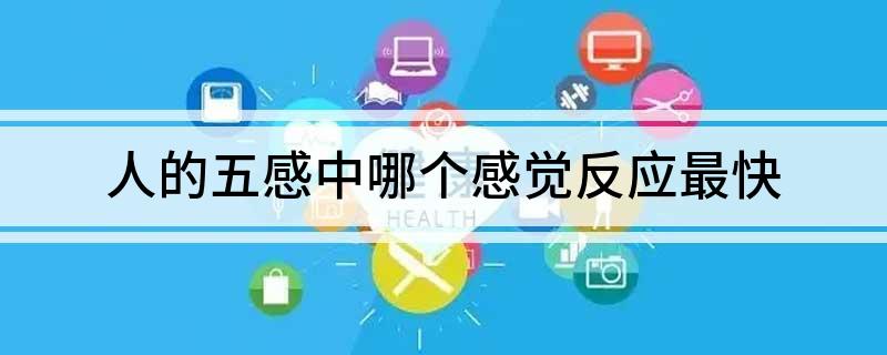 人的五感中哪个感觉反应最快