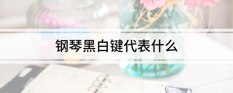 钢琴黑白键代表什么