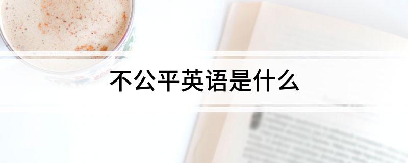 不公平英语是什么