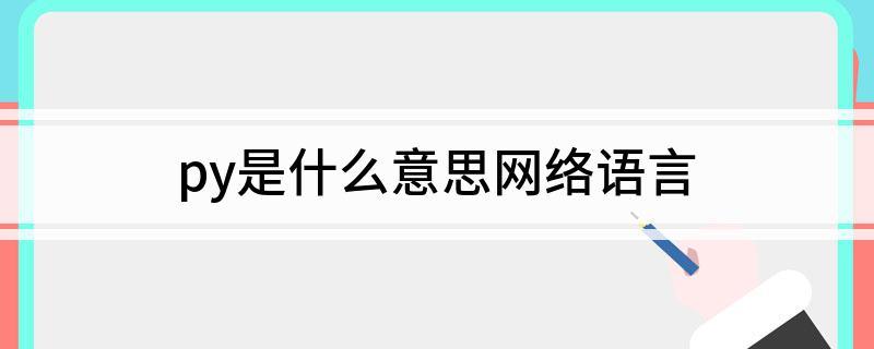 py是什么意思网络语言