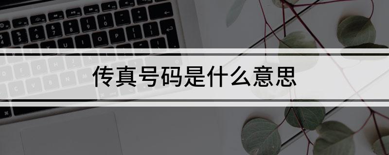 传真号码是什么意思