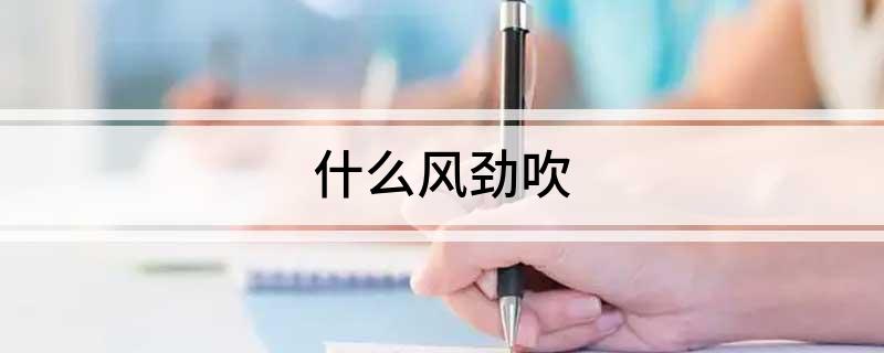什么风劲吹 什么风劲吹的意思