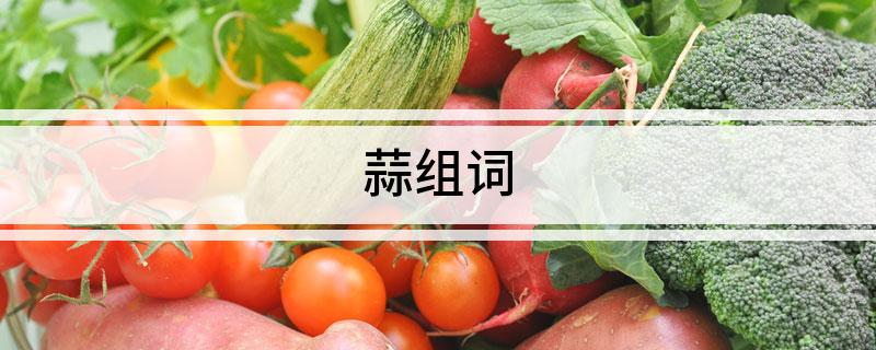 蒜组词