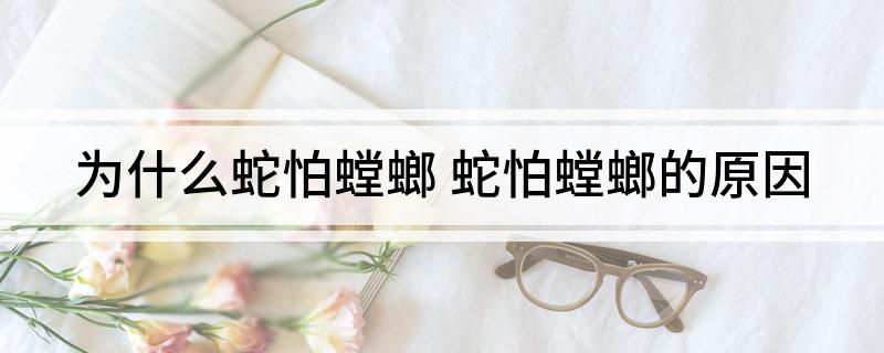 为什么蛇怕螳螂 蛇怕螳螂的原因