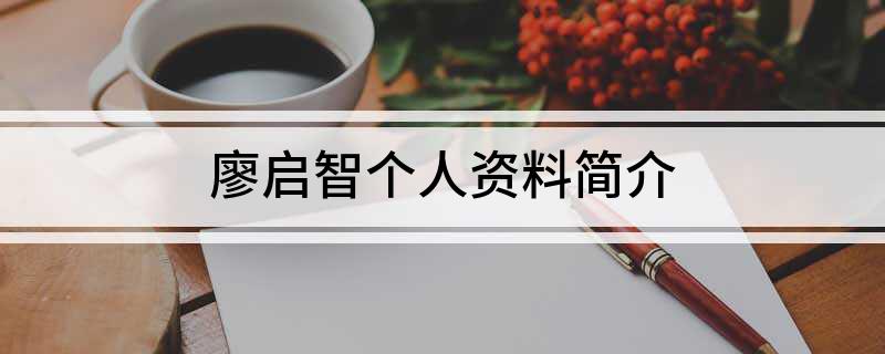 廖启智个人资料简介