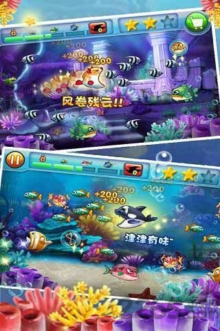 大鱼吃小鱼2破解版下载