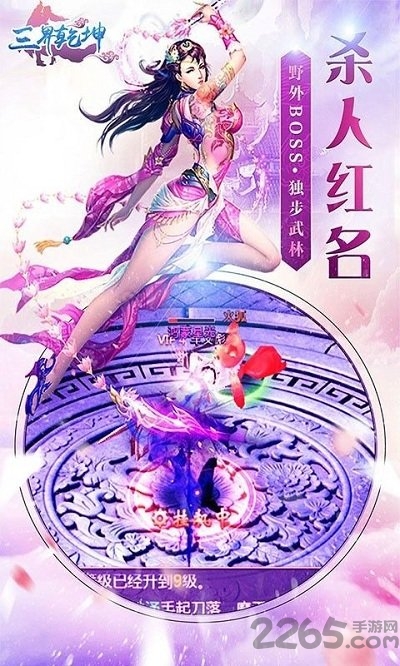 三界乾坤私服下载