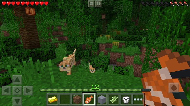 我的世界全皮肤解锁版 v1.8.0.24 安卓内购破解版 4