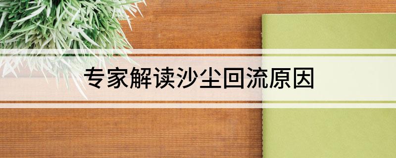专家解读沙尘回流原因