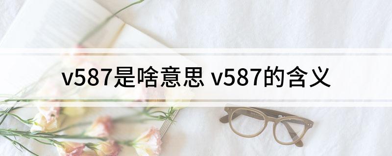 v587是啥意思 v587的含义