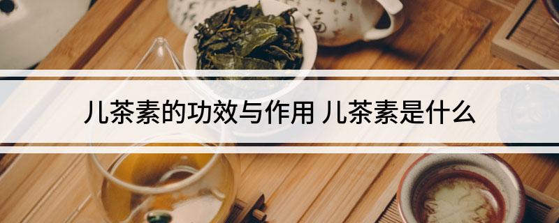 儿茶素的功效与作用 儿茶素是什么