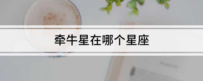 牵牛星在哪个星座