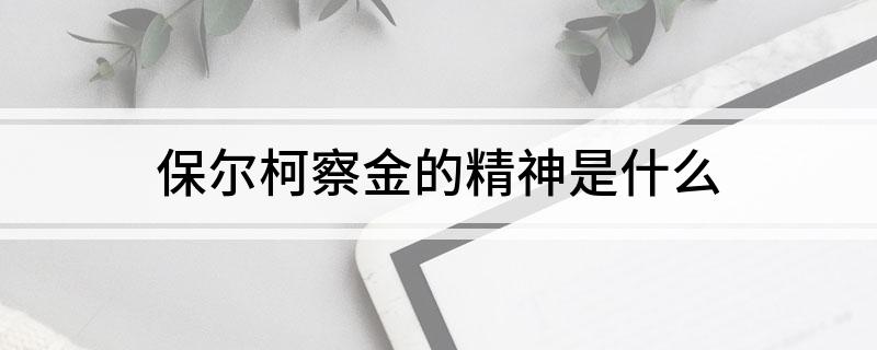 保尔柯察金的精神是什么