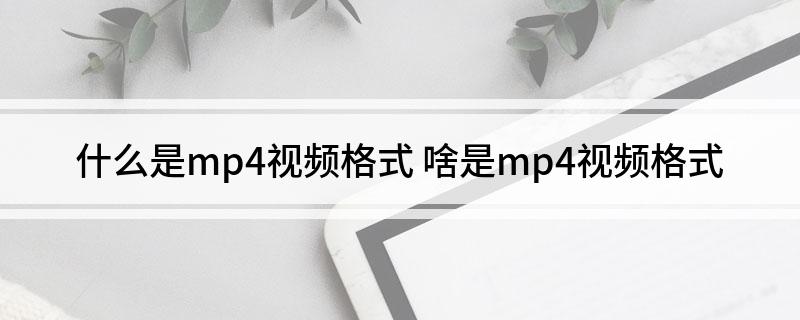 什么是mp4视频格式 啥是mp4视频格式