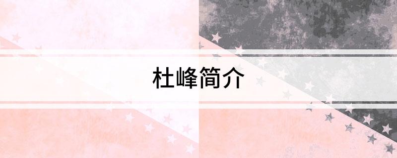 杜峰简介