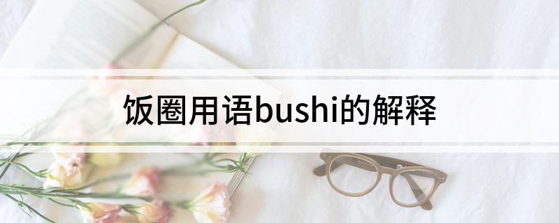 饭圈用语bushi的解释