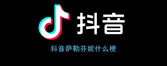 抖音萨勒芬妮什么梗_萨勒芬妮擦玻璃事件2分38视频