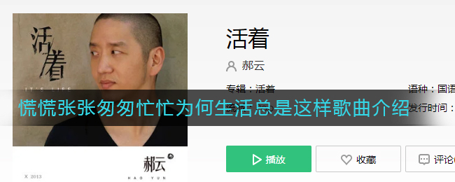 抖音慌慌张张匆匆忙忙为何生活总是这样是什么歌_慌慌张张匆匆忙忙为何生活