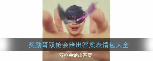 双枪会给出答案表情包大全_奖励哥关于我是谁双枪会给出答案表情包图片