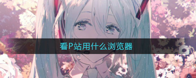 看P站用什么浏览器_用什么浏览器看P站好