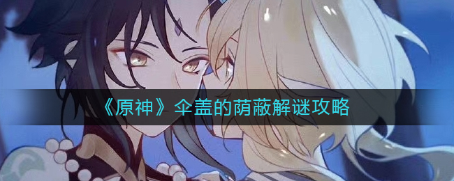 原神伞盖的荫蔽怎么解锁_伞盖的荫蔽解谜攻略