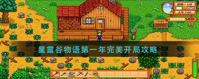星露谷物语第一年完美开局攻略_星露谷物语完美开局攻略