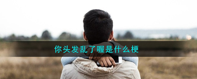 你头发乱了喔是什么梗_你头发乱了喔是什么意思