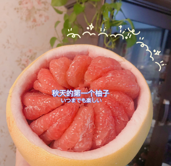 秋天的第一个柚子图片