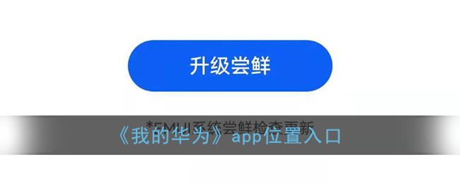 我的华为在哪里_我的华为app在哪里可以找到