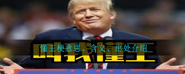 懂王梗意思、含义、出处介绍