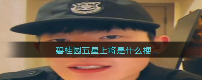 碧桂园五星上将是什么梗_碧桂园五星上将是什么意思含义出处