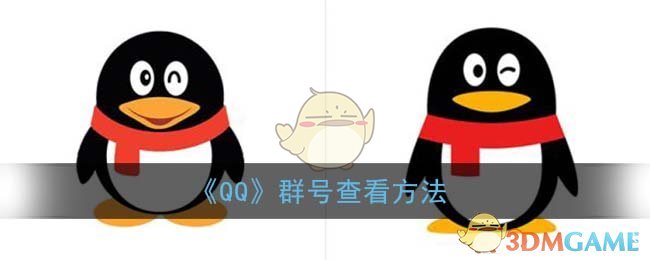 qq群号在哪里看_qq群号查看方法