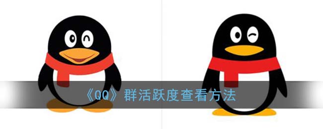 qq群活跃度怎么看_群活跃度查看方法