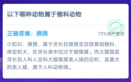 狒狒和大猩猩，哪个属于猴科动物