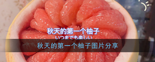秋天的第一个柚子图片