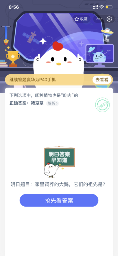 家里饲养的大鹅，它们的祖先是_5月15日支付宝每日一题