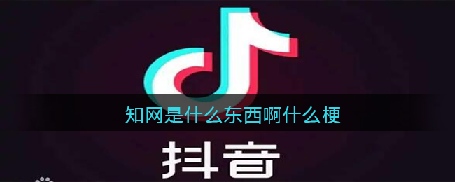 知网是什么东西啊是什么梗_知网是什么东西啊是什么意思含义出处