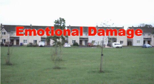 emotionaldamage什么梗