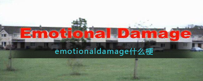 emotionaldamage什么梗