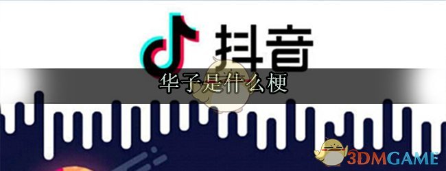 华子是个什么梗_抖音华子什么意思