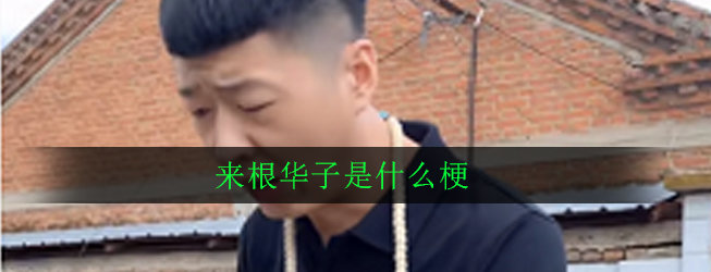 来根华子是什么梗_意思出处介绍