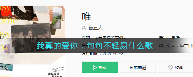我真的爱你，句句不轻易什么歌_我真的爱你，句句不轻易歌词
