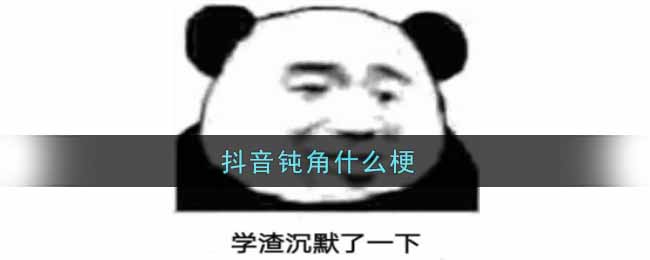 抖音钝角是什么梗_选c钝角是什么梗