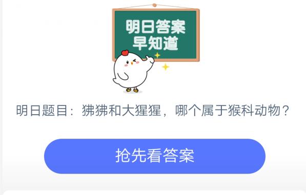 狒狒和大猩猩哪个属于猴科动物_6月10日支付宝每日一题
