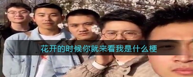 花开的时候你就来看我是什么梗/意思_抖音热梗含