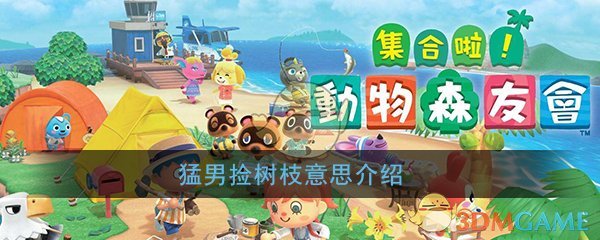 猛男捡树枝是什么意思_Switch动森全网下架猛男捡树枝意思详细介绍
