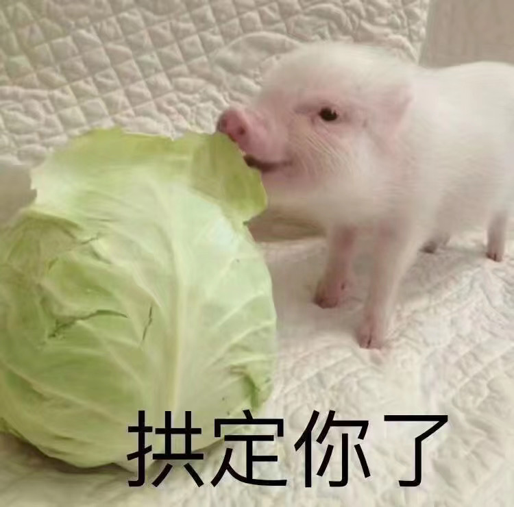 罗志祥多人运动表情包分享