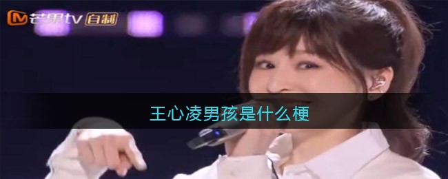 王心凌男孩是什么梗_王心凌男孩是什么意思
